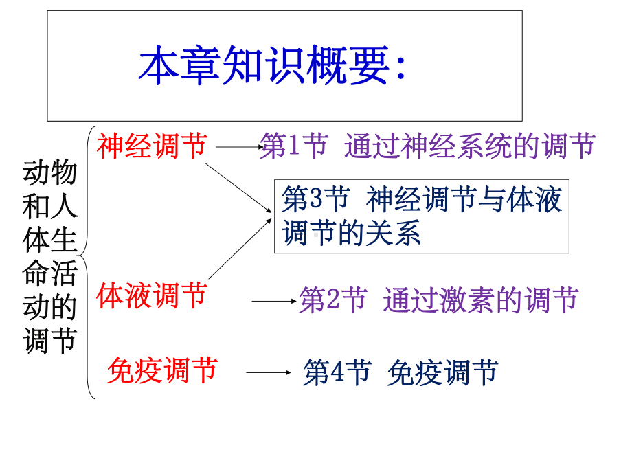 通过神经系统的调节(上课很实用)课件.ppt_第2页