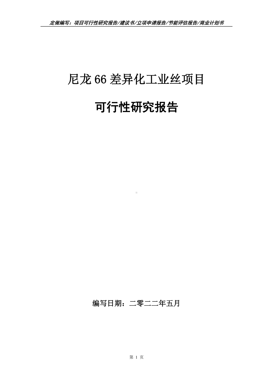 尼龙66差异化工业丝项目可行性报告（写作模板）.doc_第1页