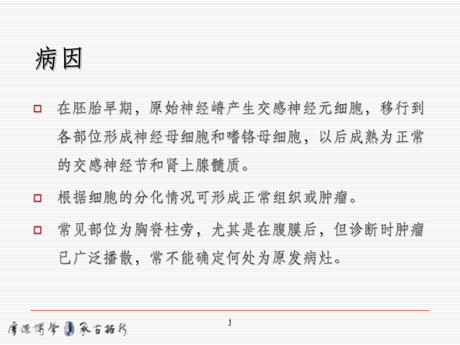 儿童神经母细胞瘤课件.ppt_第3页