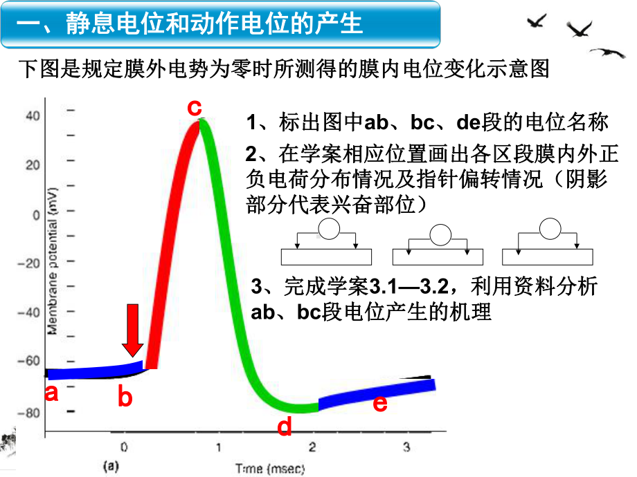 通过神经系统的调节复习好课件.pptx_第1页