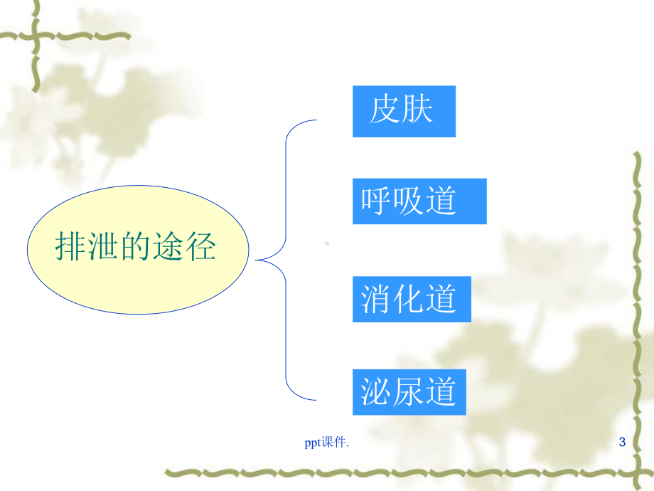 基础护理排尿护理-教学课件.ppt_第3页