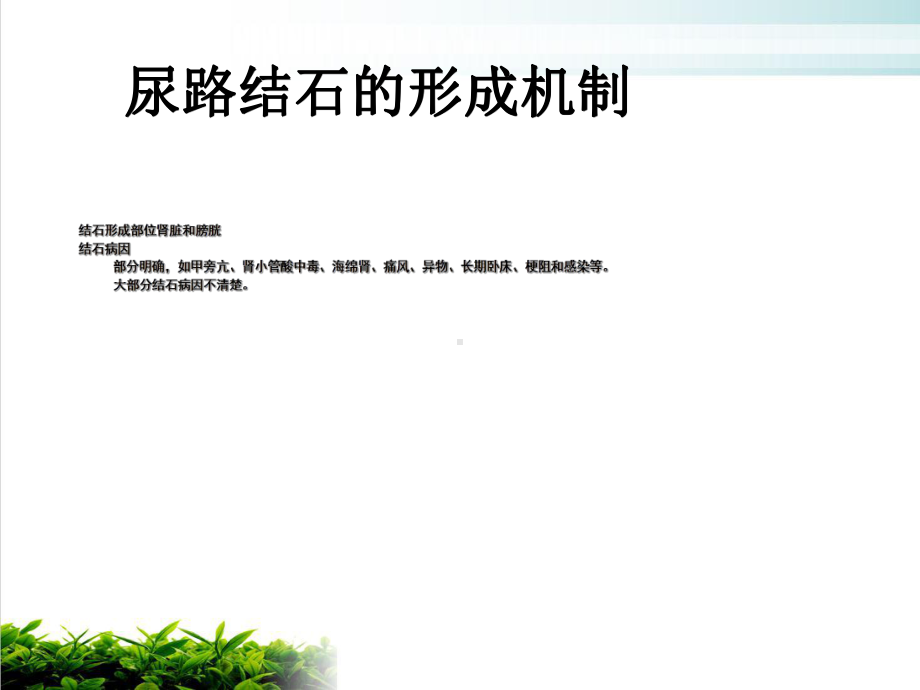 泌尿系结石实用课件.ppt_第2页