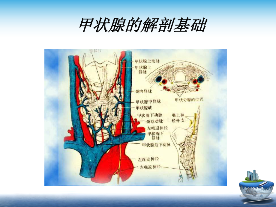 超声及介入超声在诊断甲状腺疾病中的应用(加个人简介后)课件.ppt_第3页