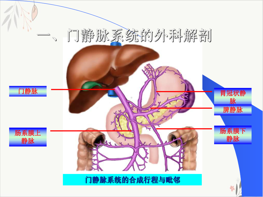 门脉高压症课件.pptx_第3页