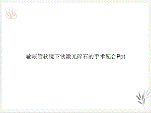 输尿管软镜下钬激光碎石的手术配合课件.ppt