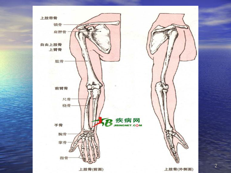 上肢骨折术后康复锻炼课件.ppt_第2页