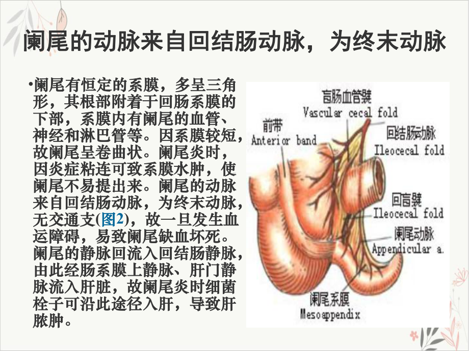 阑尾炎医学知识课件.pptx_第3页