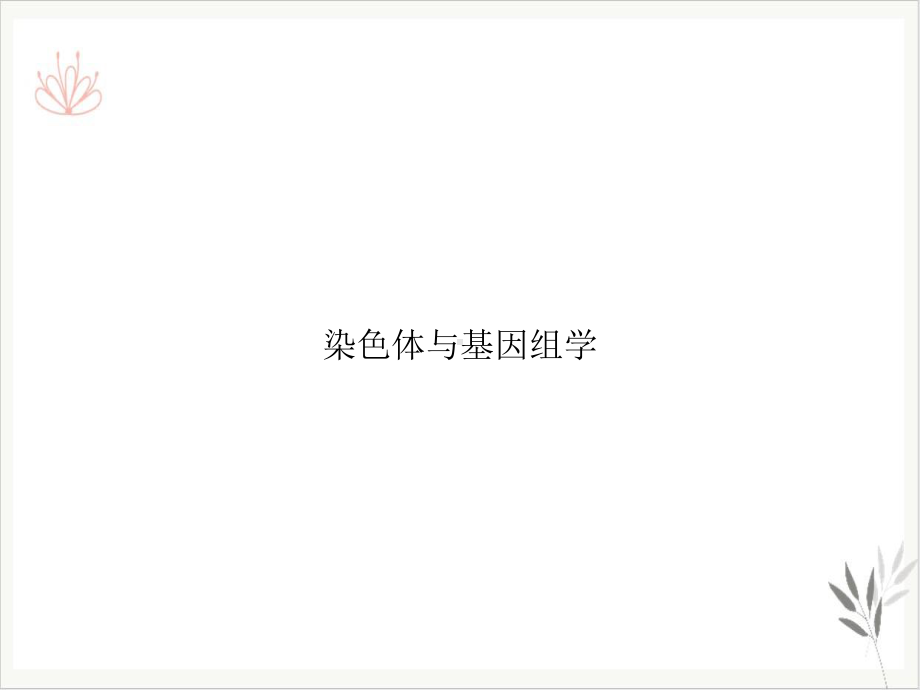 染色体与基因组学课件.ppt_第1页