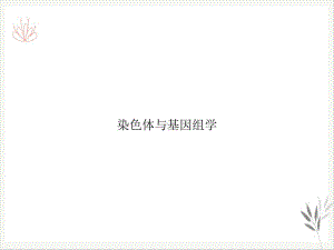 染色体与基因组学课件.ppt