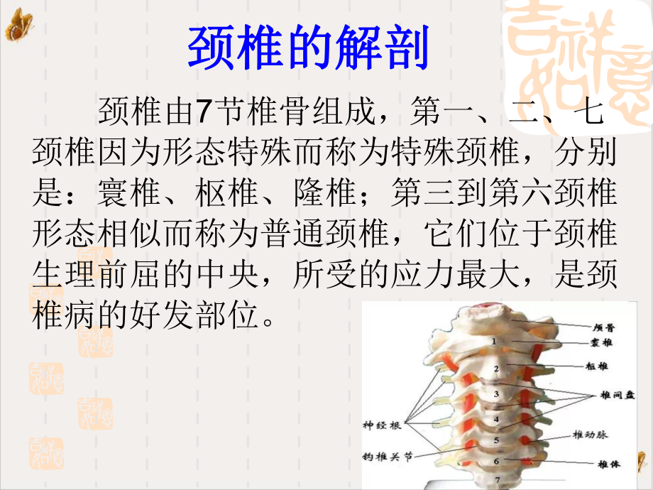 颈椎病的康复护理培训课程课件.pptx_第3页