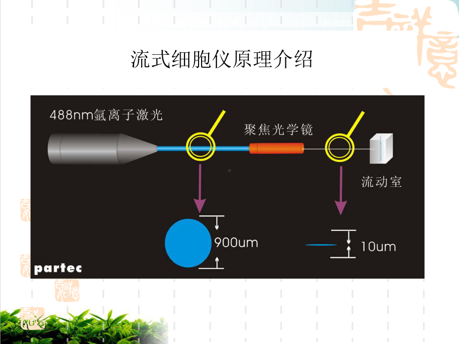 流式细胞的原理与临床应用课件.pptx_第2页