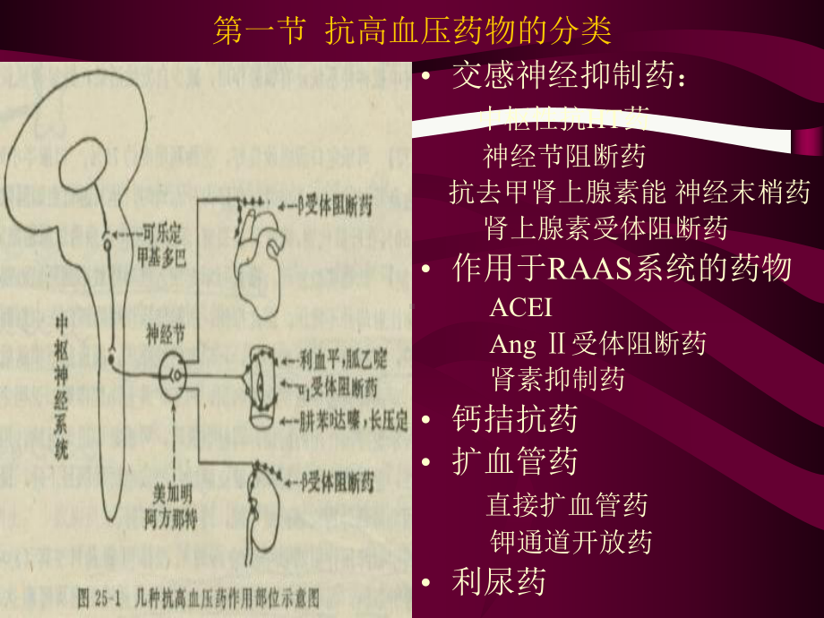 麻醉系药理抗高血压药PPT课件.pptx_第3页