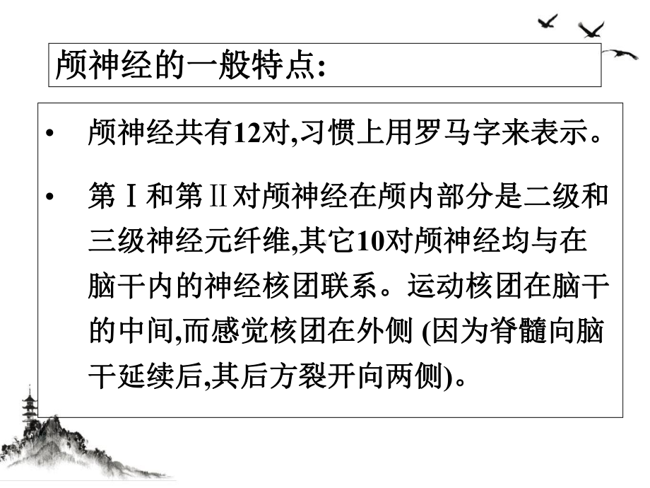 颅神经解剖及定位诊断培训教材整理课件.ppt_第2页