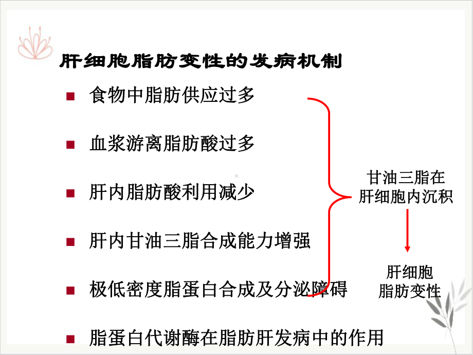 酒精性和非酒精性脂肪肝课件整理.ppt_第3页