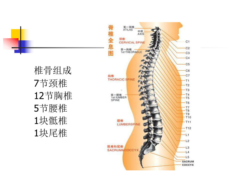 截瘫病人的护理课件.ppt_第3页