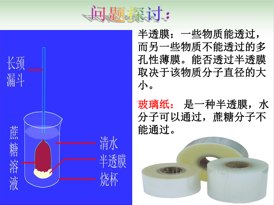 《物质跨膜运输的实例》课件人教版8.ppt_第3页