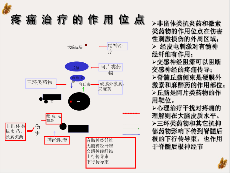 院疼痛药物治疗非甾体抗炎药NSAIDs研究进展及其再评价教学课件.ppt_第3页