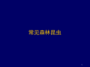 常见森林昆虫(课堂)课件.ppt