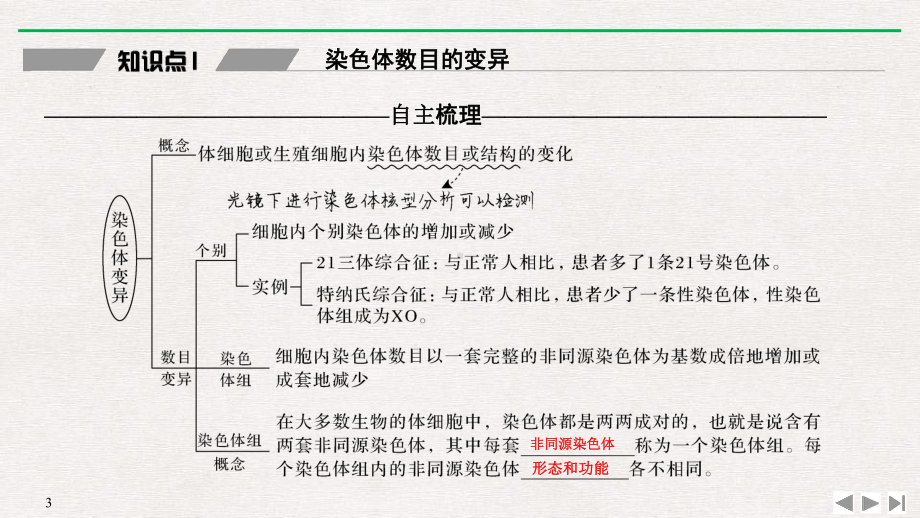 染色体变异-基因突变及其他变异课件.pptx_第3页