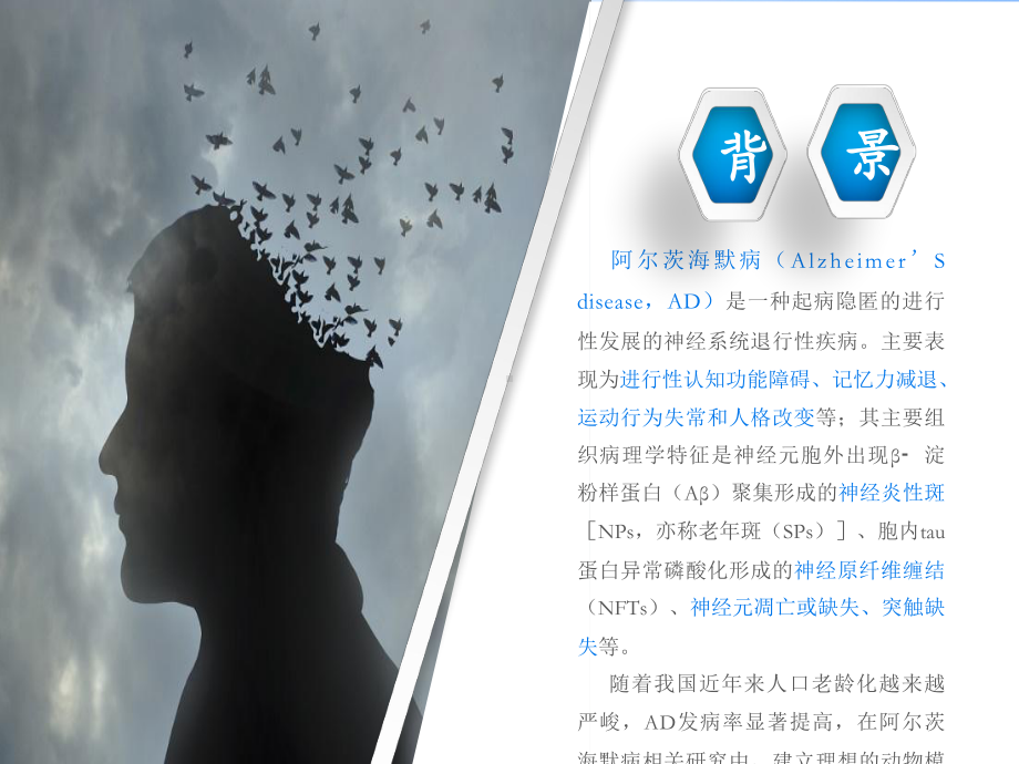 阿尔茨海默症动物模型课件.ppt_第2页