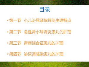 泌尿系统疾病患儿的护理讲述课件.pptx