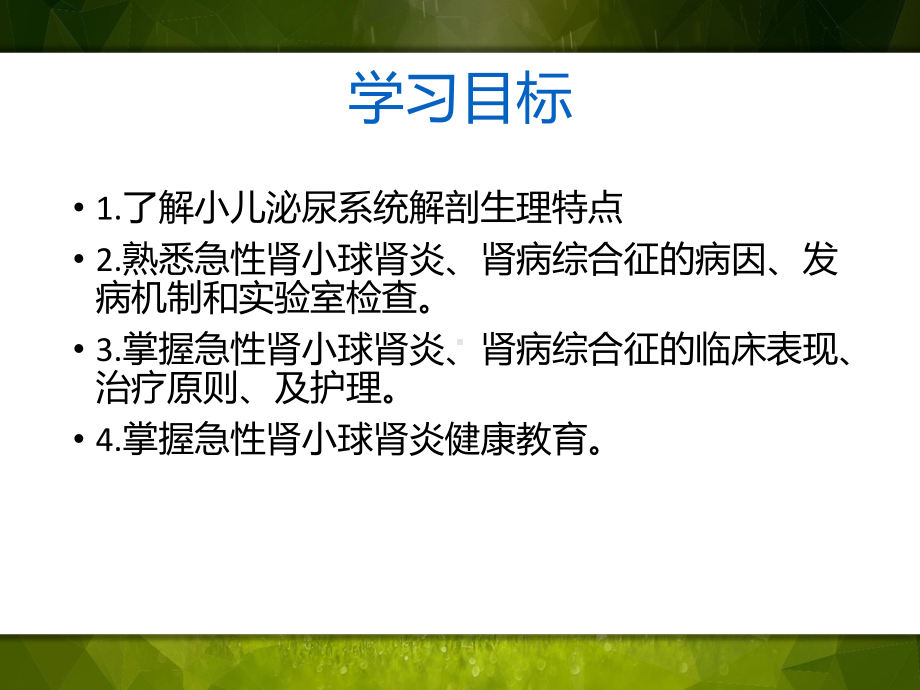 泌尿系统疾病患儿的护理讲述课件.pptx_第2页