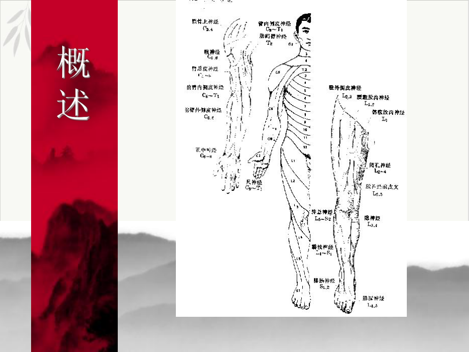 颈椎病肩周炎腰腿痛康复课件(同名161).pptx_第2页