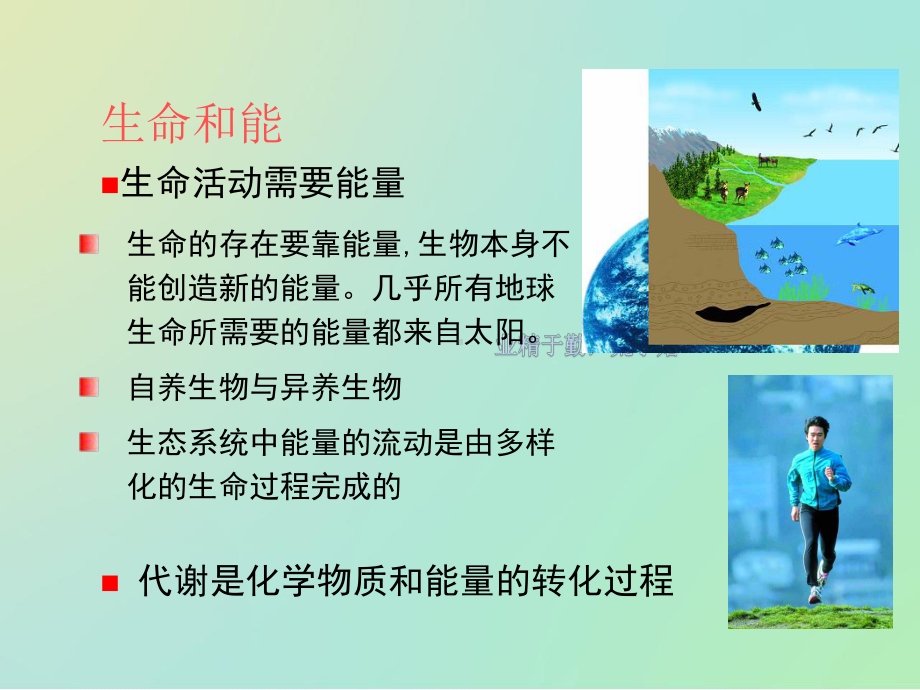 高中生物竞赛辅导—细胞代谢课件.ppt_第2页