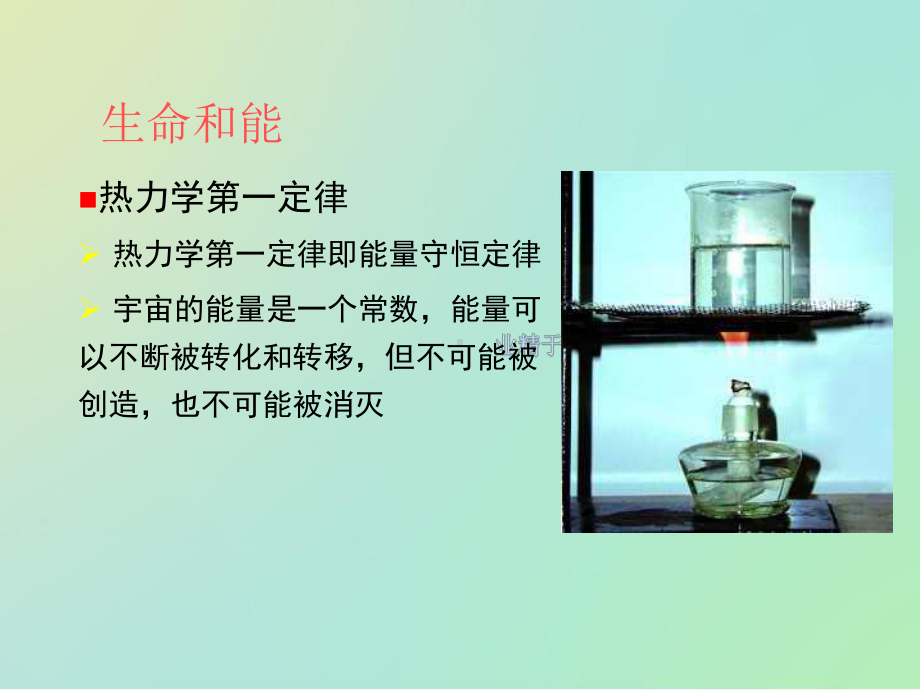 高中生物竞赛辅导—细胞代谢课件.ppt_第3页