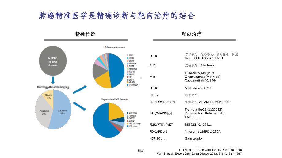 非小细胞肺癌EGFR基因突变检测课件.ppt_第3页