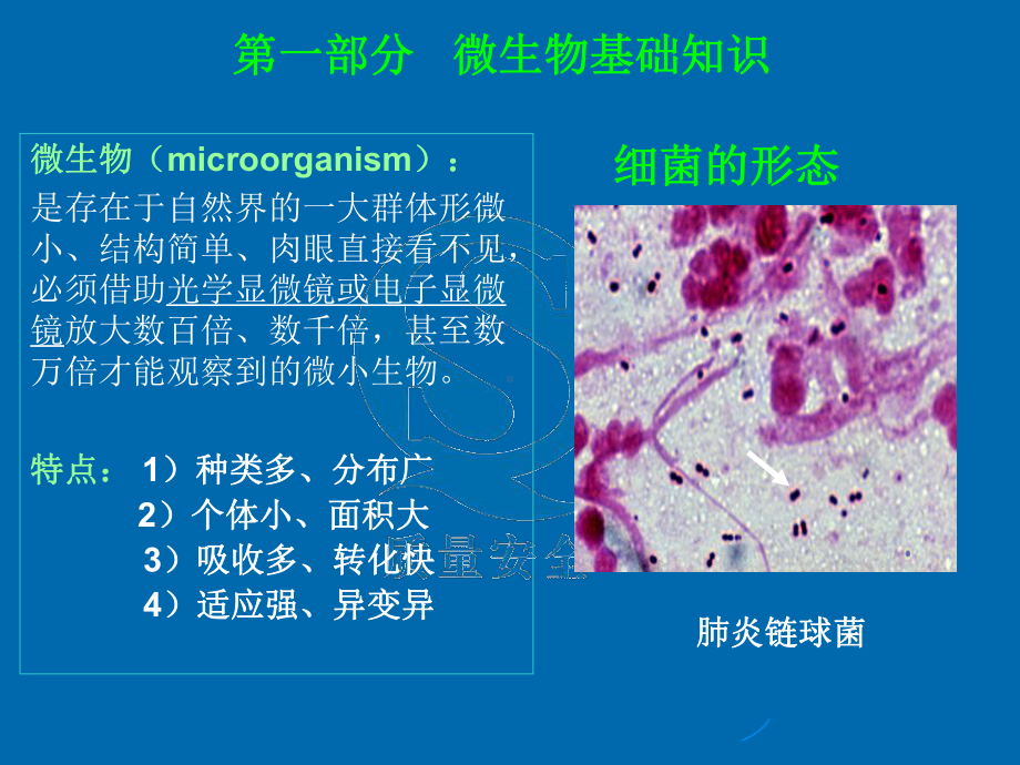 微生物基础知识和GMP卫生管理课件.ppt_第3页