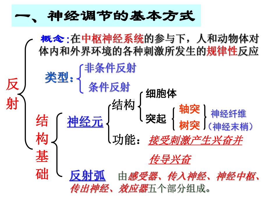 通过神经系统的调节2课件.ppt_第2页