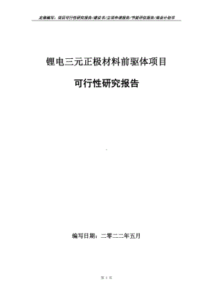 锂电三元正极材料前驱体项目可行性报告（写作模板）.doc