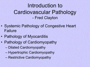 （高血压英文课件）Cardiovascular-Pathology.ppt