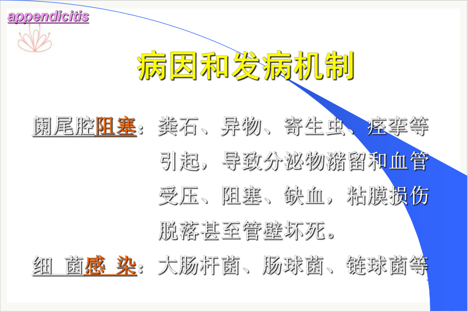 阑尾炎病理学课件.pptx_第1页