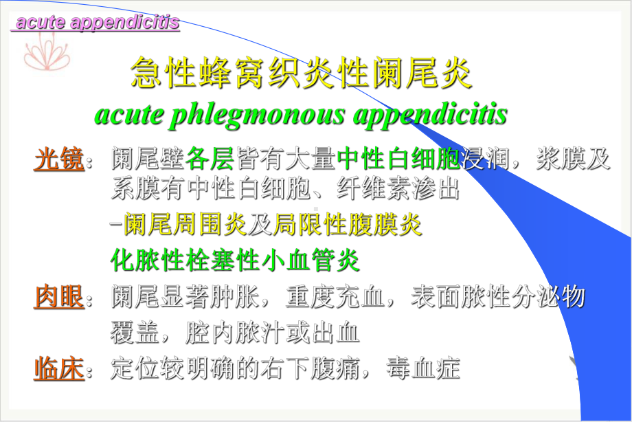 阑尾炎病理学课件.pptx_第3页