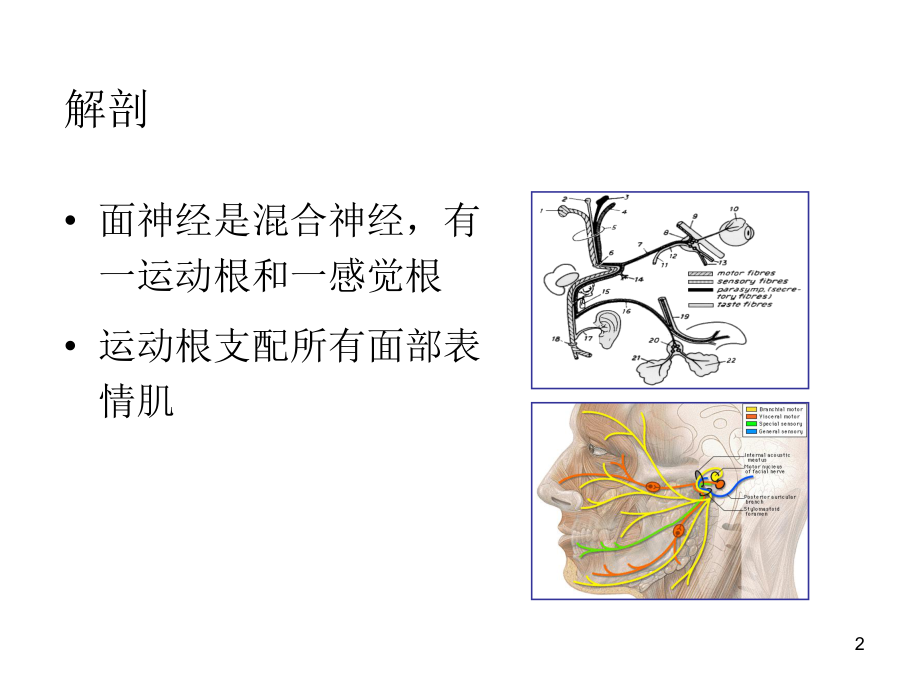 面神经麻痹课件整理.ppt_第2页