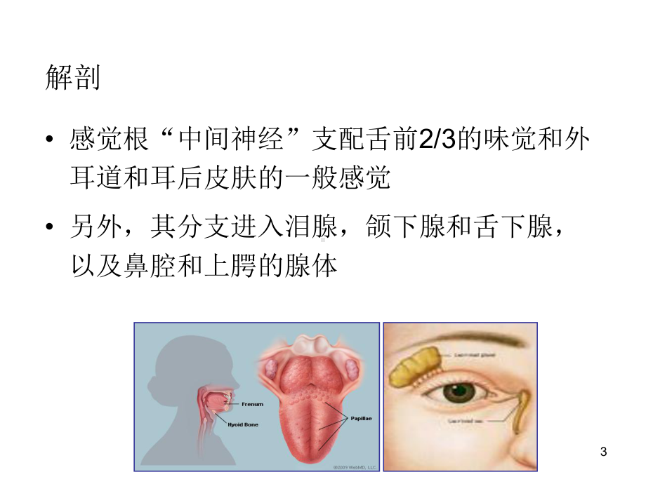 面神经麻痹课件整理.ppt_第3页