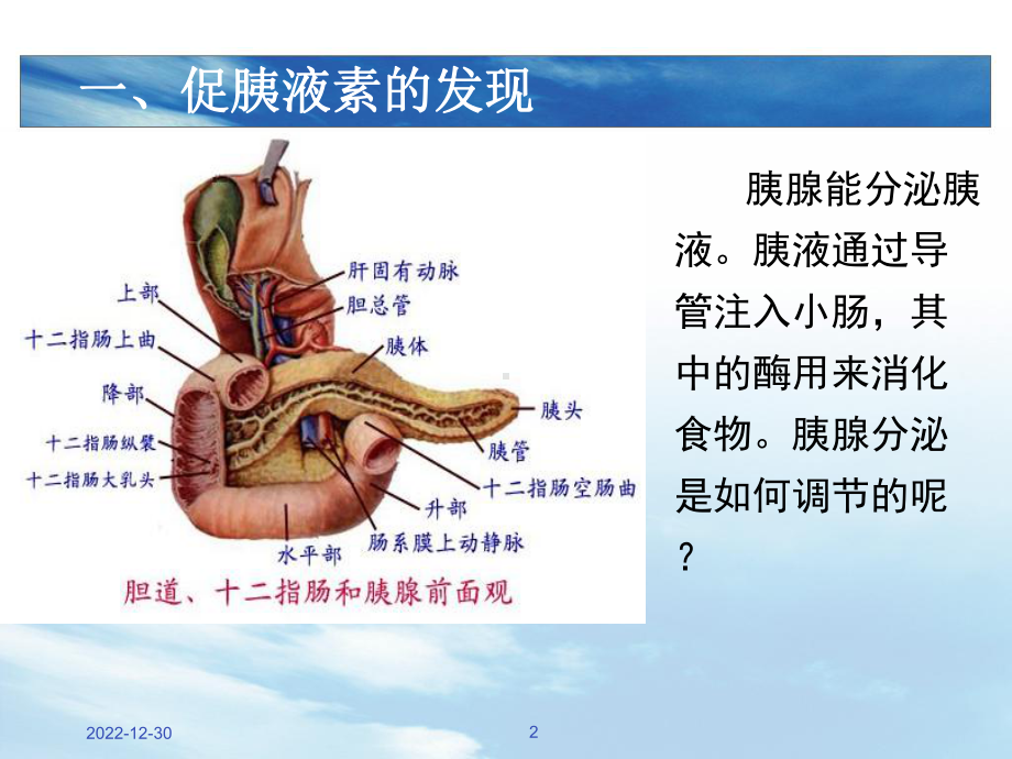 浙科版生物第二章-动物的生命活动调节-第三节-高等动物的内分泌系统与体液调节-人和高等动物的激素调节课件.ppt_第2页