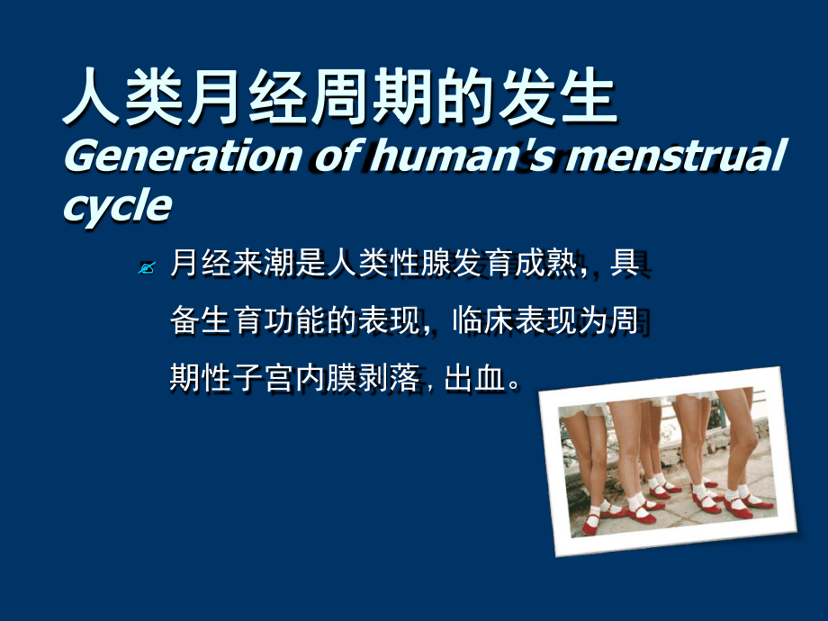 月经周期与卵巢周期课件.ppt_第3页