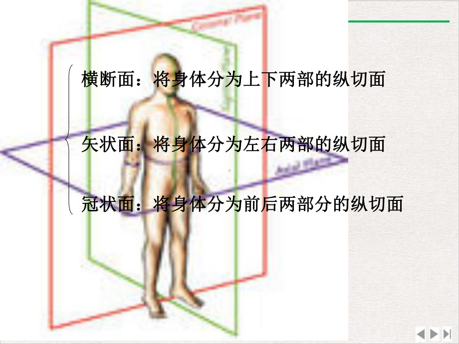 颅脑断面解剖完美版课件.pptx_第1页