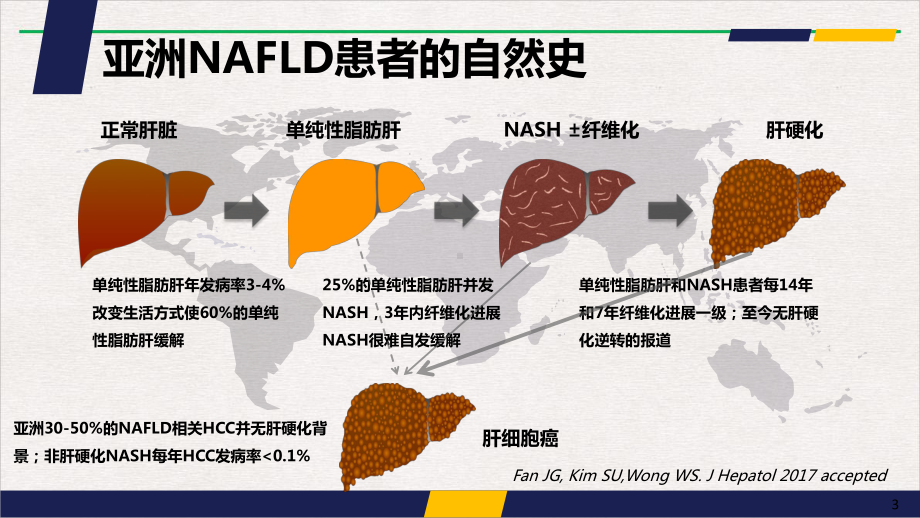 非酒精性脂肪性肝病防治指南解读课件.pptx_第3页