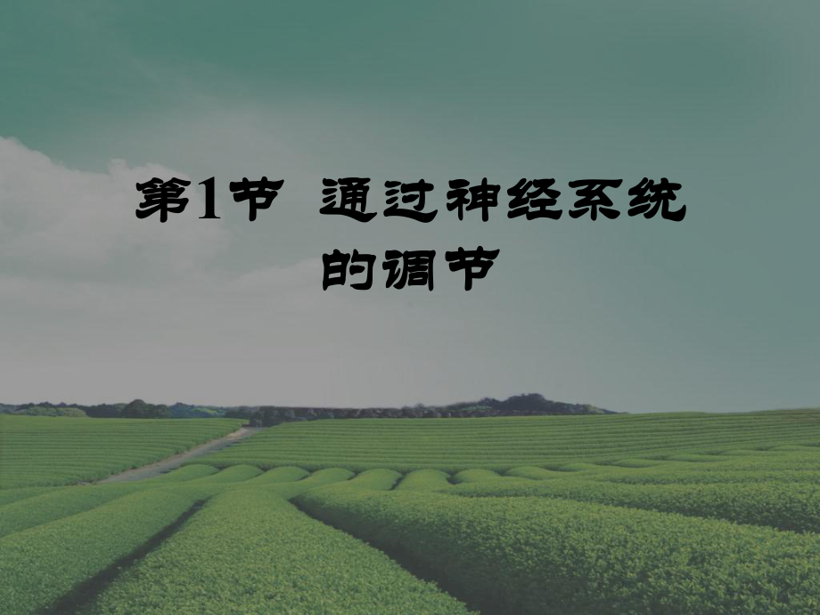 通过神经系统的调节1课件整理.ppt_第1页