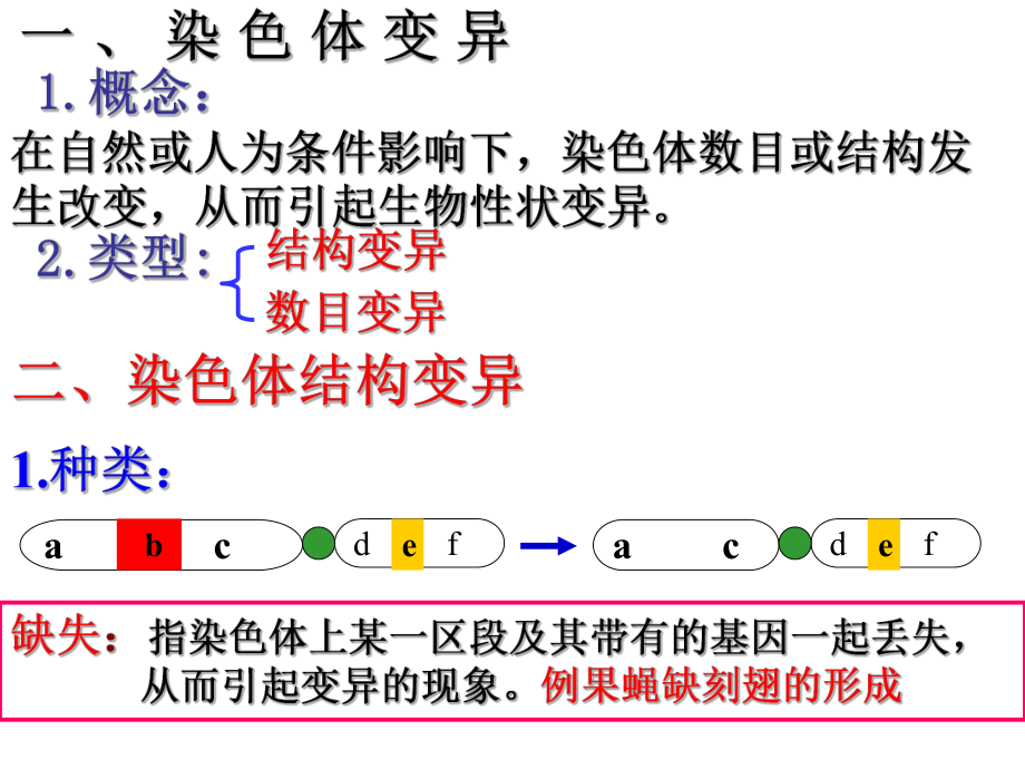 染色体变异77-人教课标版课件.ppt_第2页