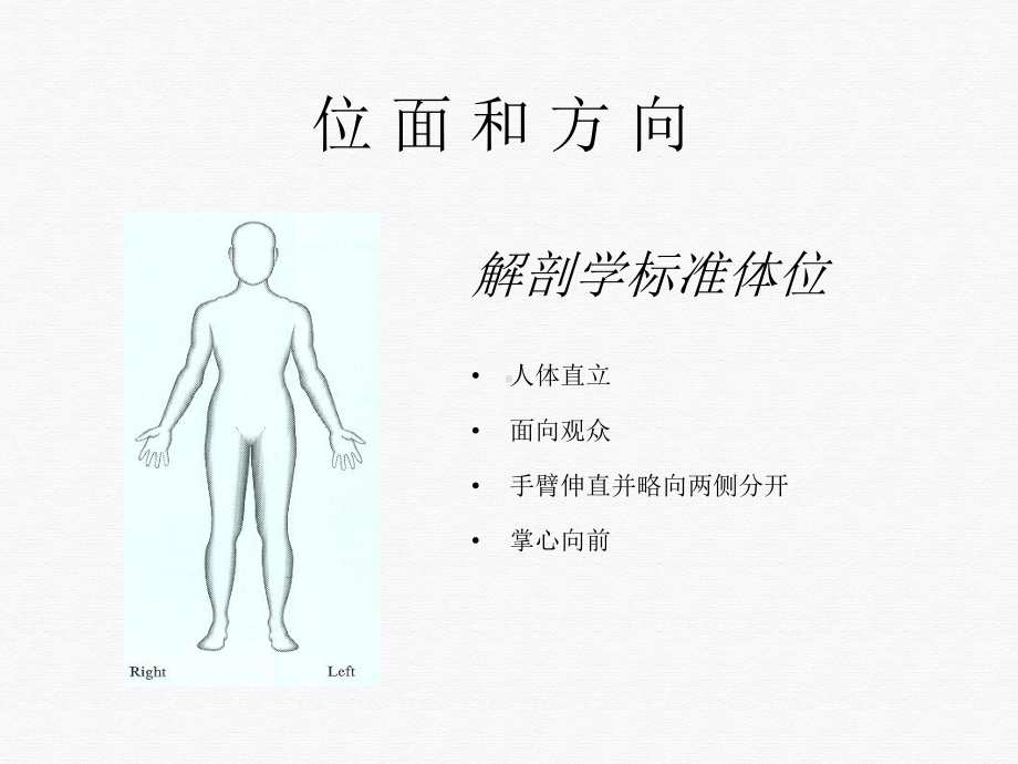 髋关节解剖和生物力学讲课课件.ppt_第2页