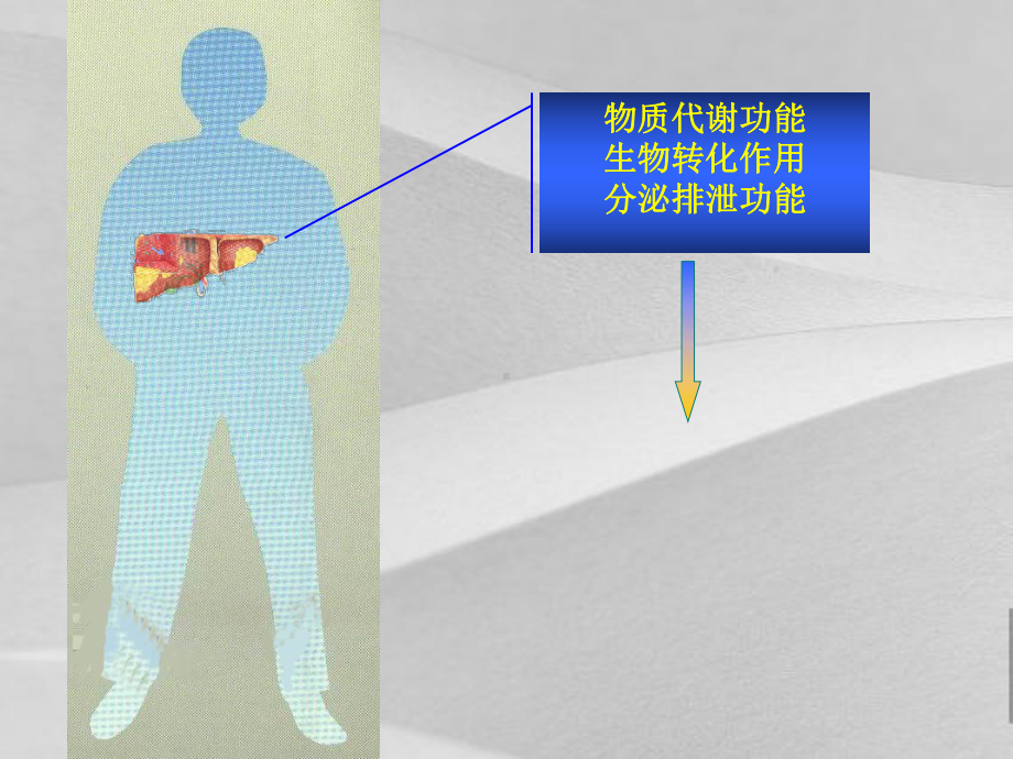 试论肝脏病常用实验室检查课件.ppt_第3页