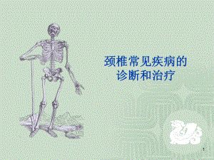 颈椎病理课件.ppt