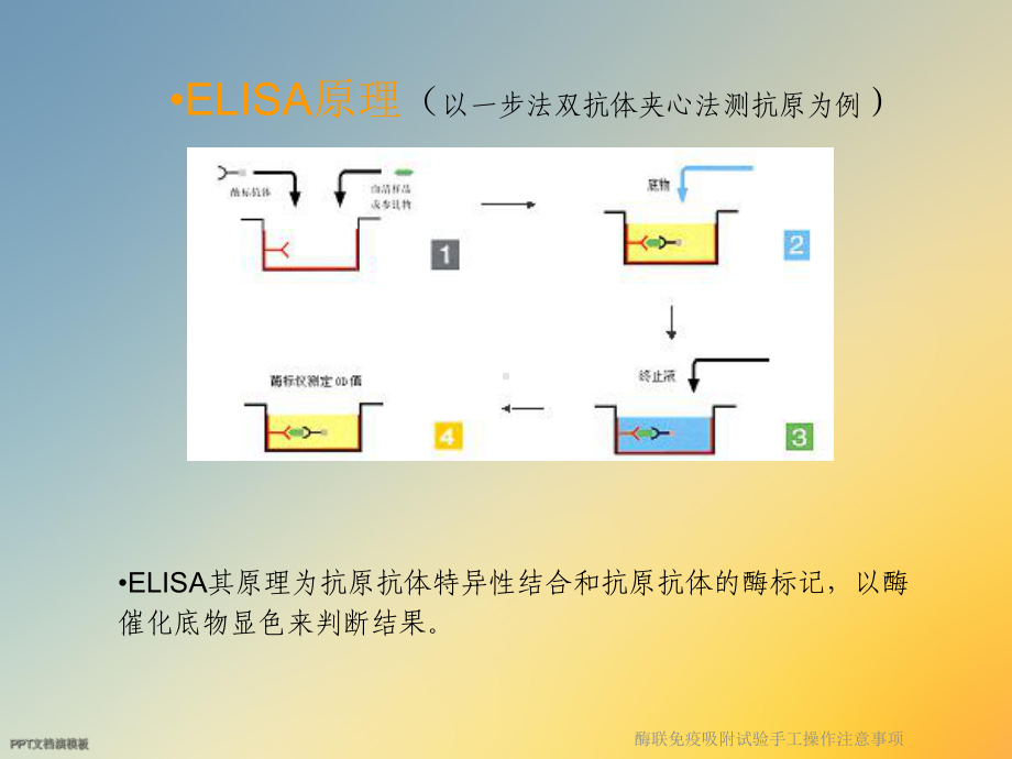 酶联免疫吸附试验手工操作注意事项课件.ppt_第3页