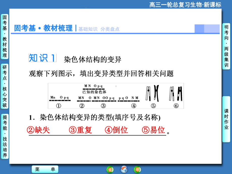 高考生物大一轮复习配套课件必修2第3单元第2讲染色体变异和人类遗传病.ppt_第2页