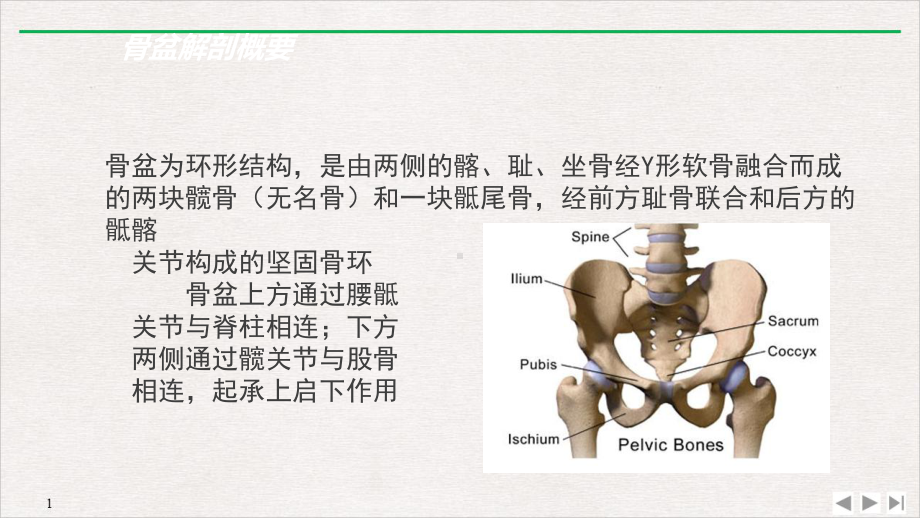 骨盆骨折SOP完美课课件.pptx_第1页